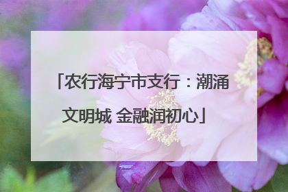 农行海宁市支行：潮涌文明城 金融润初心