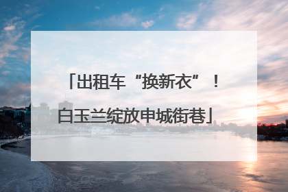 出租车“换新衣”！白玉兰绽放申城街巷