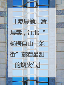 凌晨摘、清晨卖，江北“杨梅自由一条街”藏着最甜的烟火气