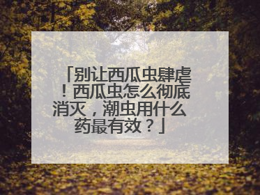 别让西瓜虫肆虐！西瓜虫怎么彻底消灭，潮虫用什么药最有效？