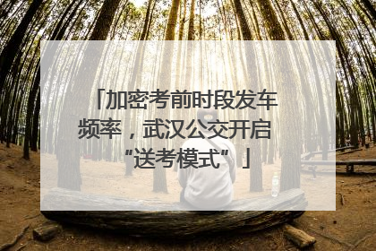加密考前时段发车频率，武汉公交开启“送考模式”