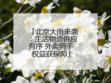 北京大雨来袭：生活物资供应有序 外卖骑手权益获保障
