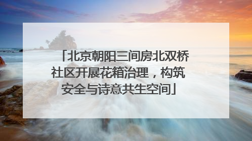 北京朝阳三间房北双桥社区开展花箱治理，构筑安全与诗意共生空间