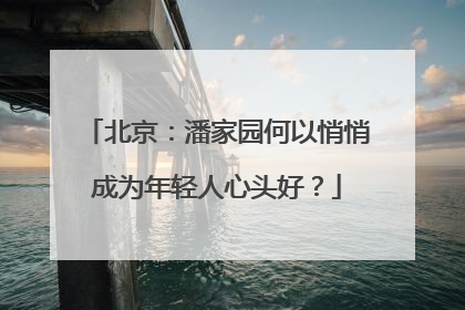 北京：潘家园何以悄悄成为年轻人心头好？