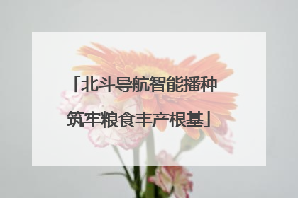 北斗导航智能播种 筑牢粮食丰产根基
