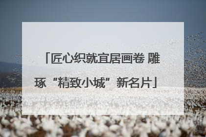 匠心织就宜居画卷 雕琢“精致小城”新名片