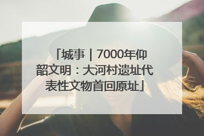城事｜7000年仰韶文明：大河村遗址代表性文物首回原址