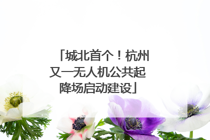 城北首个！杭州又一无人机公共起降场启动建设