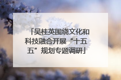 吴桂英围绕文化和科技融合开展“十五五”规划专题调研