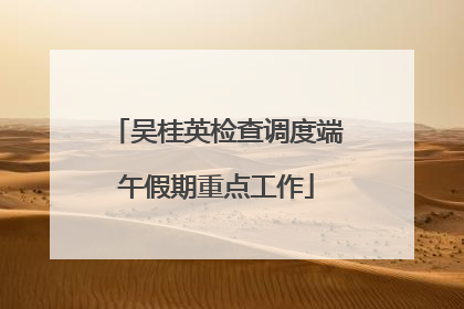 吴桂英检查调度端午假期重点工作