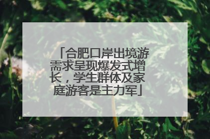 合肥口岸出境游需求呈现爆发式增长，学生群体及家庭游客是主力军