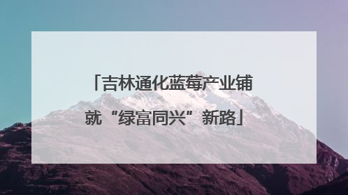 吉林通化蓝莓产业铺就“绿富同兴”新路