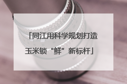 同江用科学规划打造玉米锁“鲜”新标杆