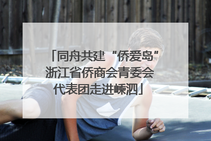 同舟共建“侨爱岛” 浙江省侨商会青委会代表团走进嵊泗