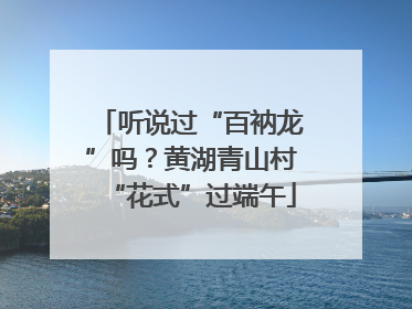 听说过“百衲龙”吗？黄湖青山村“花式”过端午