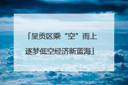 呈贡区乘“空”而上 逐梦低空经济新蓝海