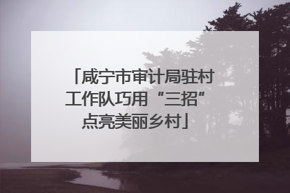 咸宁市审计局驻村工作队巧用“三招”点亮美丽乡村