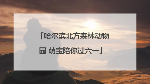 哈尔滨北方森林动物园 萌宝陪你过六一