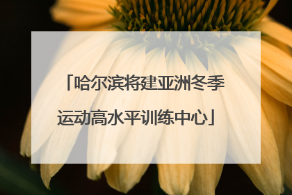 哈尔滨将建亚洲冬季运动高水平训练中心