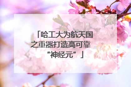 哈工大为航天国之重器打造高可靠“神经元”