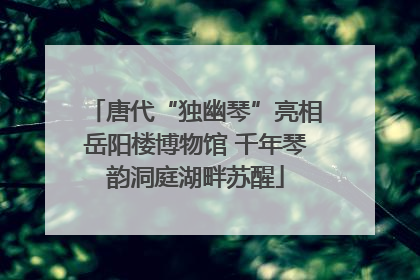唐代“独幽琴”亮相岳阳楼博物馆 千年琴韵洞庭湖畔苏醒