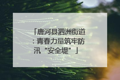 唐河县泗洲街道：青春力量筑牢防汛“安全堤”