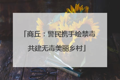 商丘：警民携手绘禁毒 共建无毒美丽乡村