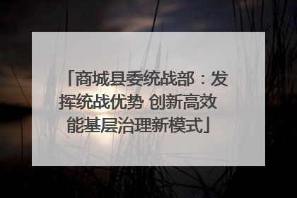 商城县委统战部：发挥统战优势 创新高效能基层治理新模式