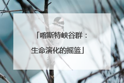 喀斯特峡谷群：生命演化的摇篮