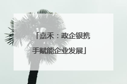 嘉禾：政企银携手赋能企业发展