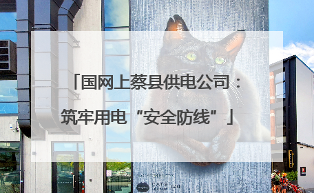 国网上蔡县供电公司：筑牢用电“安全防线”