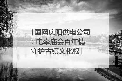 国网庆阳供电公司：电牵庙会百年情 守护古镇文化根