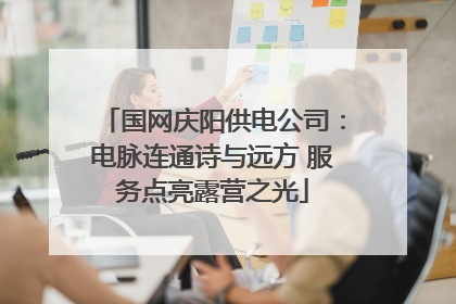 国网庆阳供电公司：电脉连通诗与远方 服务点亮露营之光