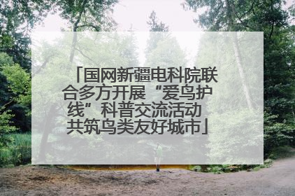 国网新疆电科院联合多方开展“爱鸟护线”科普交流活动 共筑鸟类友好城市