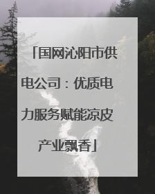 国网沁阳市供电公司：优质电力服务赋能凉皮产业飘香