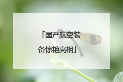 国产航空装备惊艳亮相