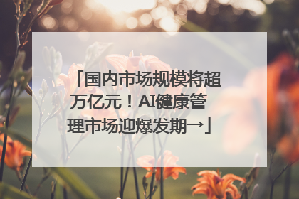 国内市场规模将超万亿元！AI健康管理市场迎爆发期→