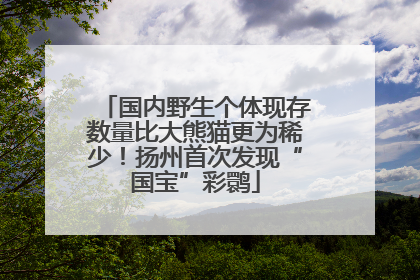国内野生个体现存数量比大熊猫更为稀少！扬州首次发现“国宝”彩鹮