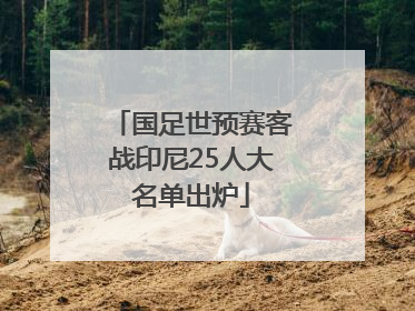 国足世预赛客战印尼25人大名单出炉