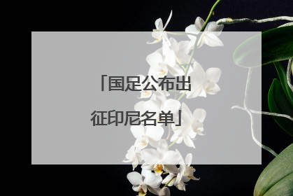 国足公布出征印尼名单
