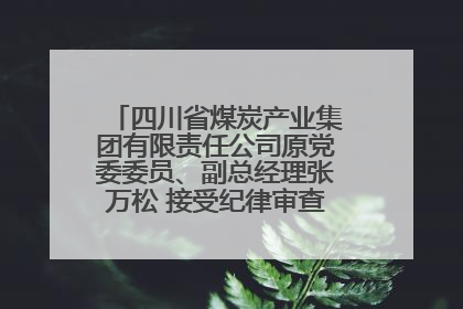 四川省煤炭产业集团有限责任公司原党委委员、副总经理张万松 接受纪律审查和监察调查