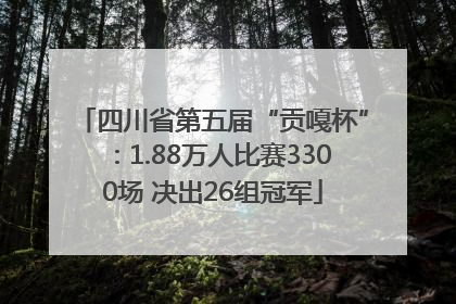四川省第五届“贡嘎杯”：1.88万人比赛3300场 决出26组冠军