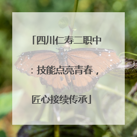 四川仁寿二职中：技能点亮青春，匠心接续传承