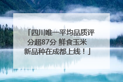 四川唯一平均品质评分超87分 鲜食玉米新品种在成都上线！