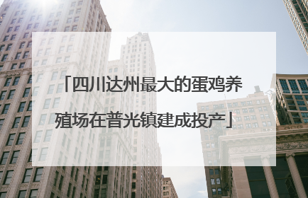 四川达州最大的蛋鸡养殖场在普光镇建成投产