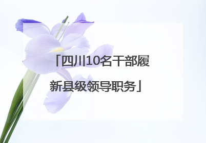四川10名干部履新县级领导职务