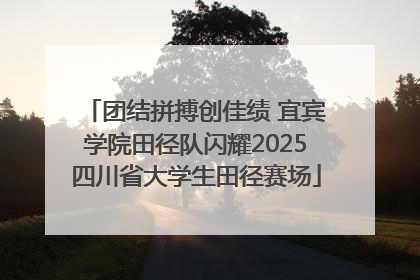 团结拼搏创佳绩 宜宾学院田径队闪耀2025四川省大学生田径赛场