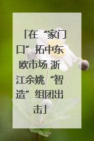 在“家门口”拓中东欧市场 浙江余姚“智造”组团出击