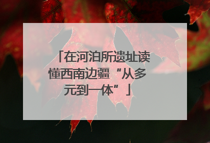 在河泊所遗址读懂西南边疆“从多元到一体”