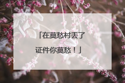 在莫愁村丢了证件你莫愁！